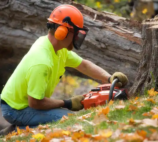 tree services Mantorville